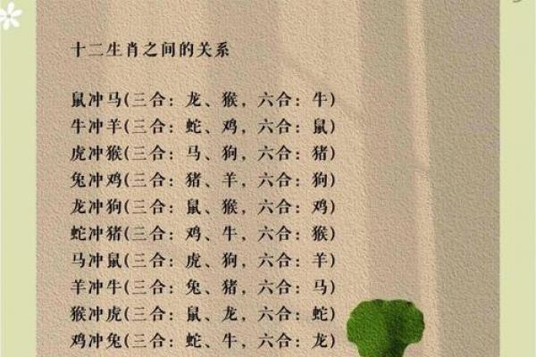 水猴命与水鸡命是否相配