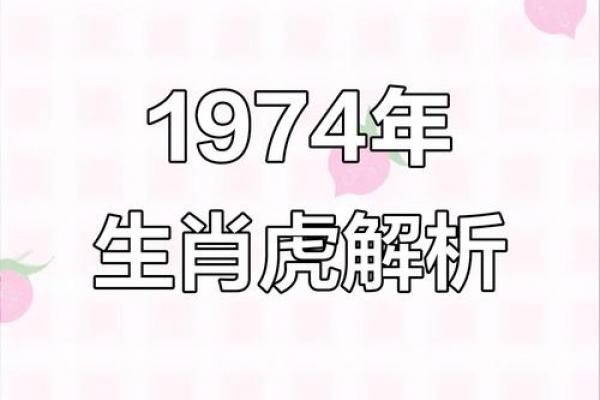 属虎者添丁吉年解析