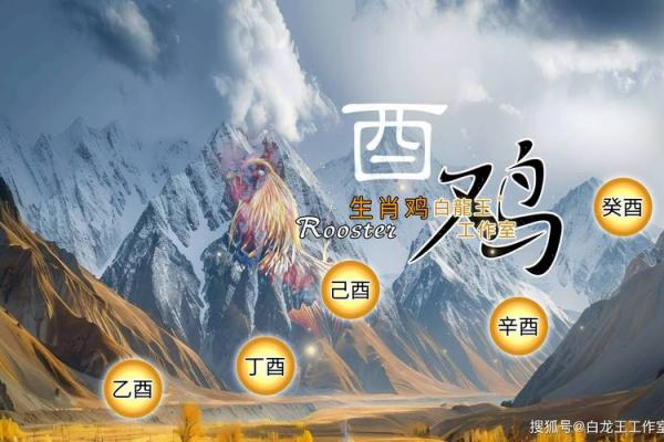 2026年属鸡人运势与贵人指引