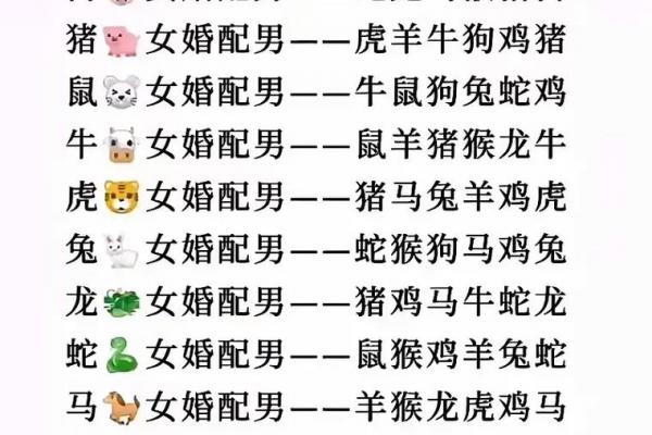 属马女谁相伴到老