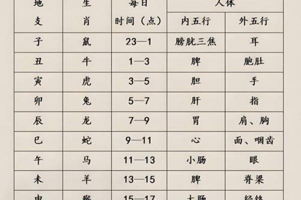 八字十二地支合化详解