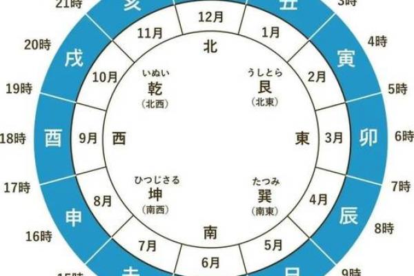 八字十二地支合化详解