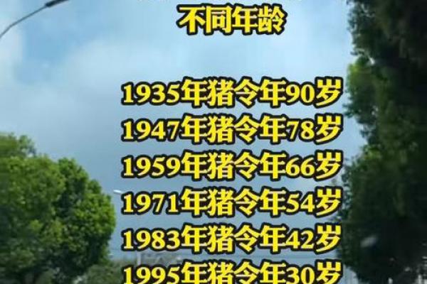 属猪者哪个季节出生最吉利