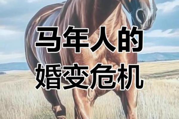 02年属马女性的婚姻困境