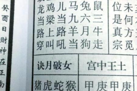 火马命逢火马年吉凶如何