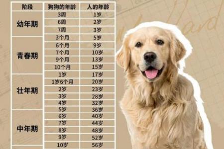 2026年属狗重孝在几月