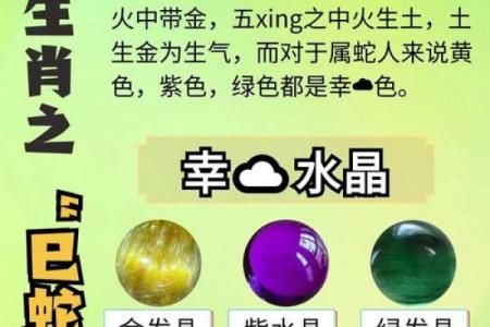 2026属蛇者需避开的大忌颜色