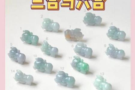 属虎女子由谁守护一生