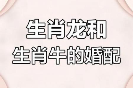 属牛女性晚年是否注定守寡