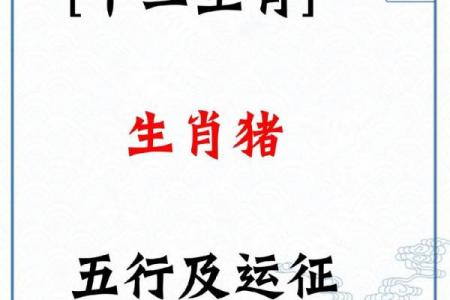 2026年谁会紧追属猪人
