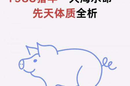 属猪者事业中与何生肖相冲