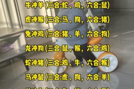 96年属鼠男配谁最旺