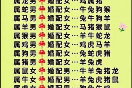 属羊人二婚才是正缘？头婚与二婚哪个更好