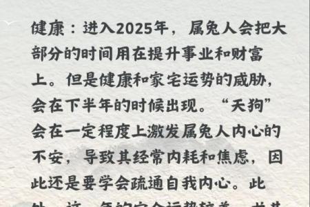 属兔者2026年运势强势逆转