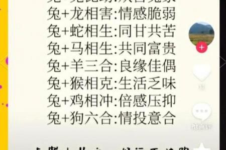 属兔男女结合婚姻是否和谐