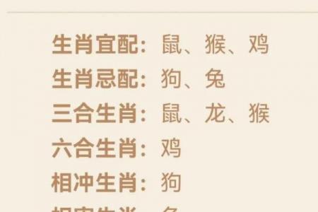 属龙男最佳婚配属相