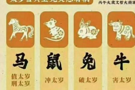 鸡冲太岁对应年份