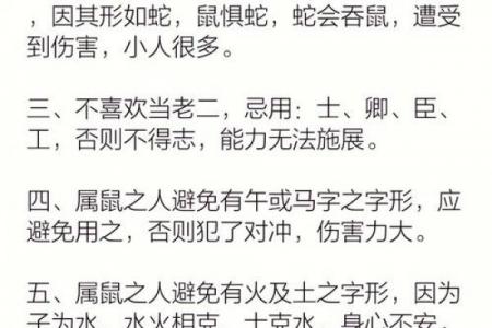 属鼠者入门遇何物最旺