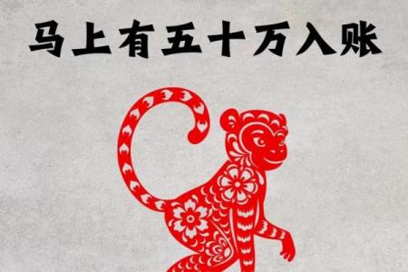 属猴者从事哪些职业最赚钱，适合属猴人的职业方向
