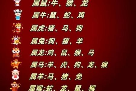 属龙者命中的桃花贵人是谁