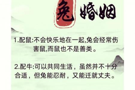 兔与何属相相冲