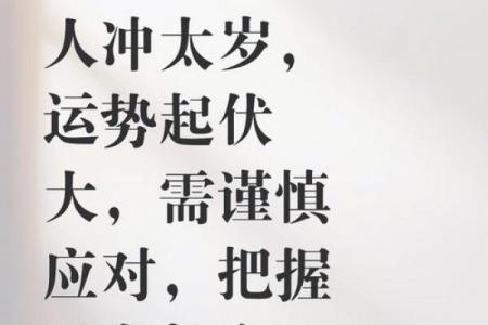 2026年属鼠人上半年运势解析