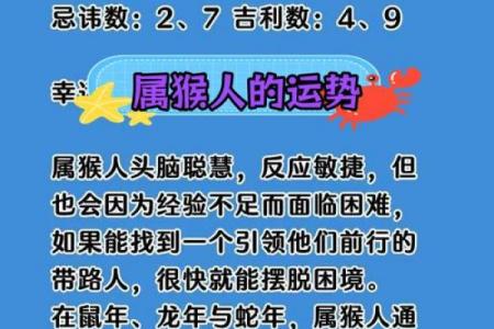 68年属猴者命理五行属性解析