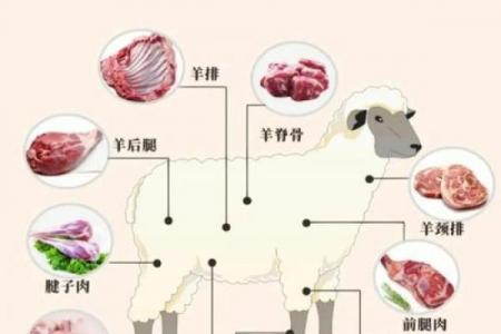 水羊命最忌的三种东西