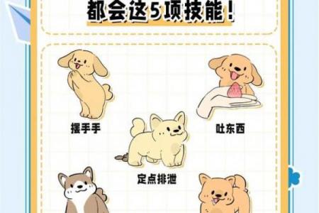 生肖狗最适合的副业方向与最佳选择