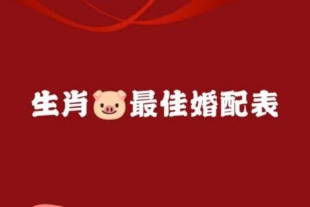 95年属猪者二婚最佳配偶选择