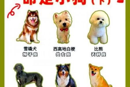 谁最偏爱属狗的女性