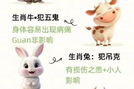 2026年属鼠者冲犯哪些凶星