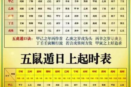 金虎命属于几等命
