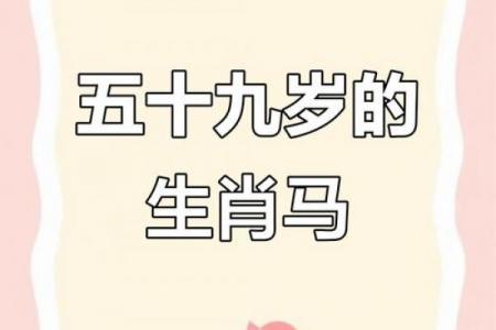 属马者晚年是否有老伴