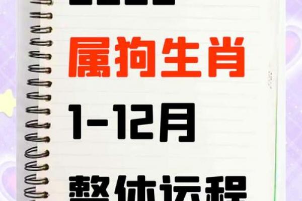 属狗人2026年创业适宜性与马年事业运势分析