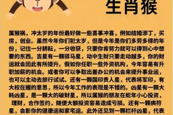 2026年属猴者上半年运程解析