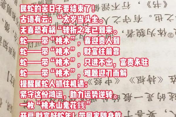 土蛇命与大海水命是否相合
