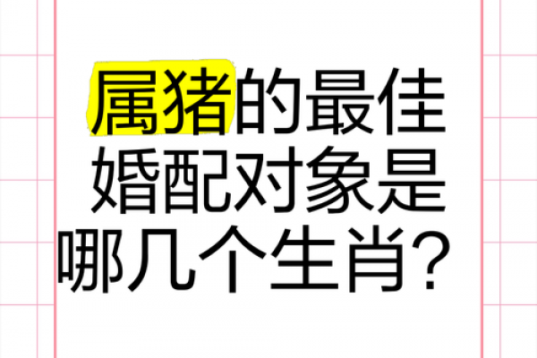 属猪人最佳婚配生肖是哪个