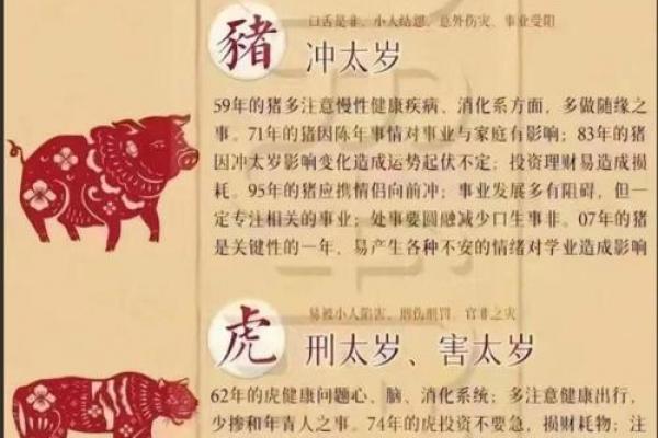 寅时降生的龙年人士运势解析