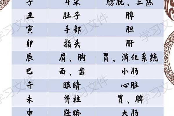 十天干对应人体部位的详细解析