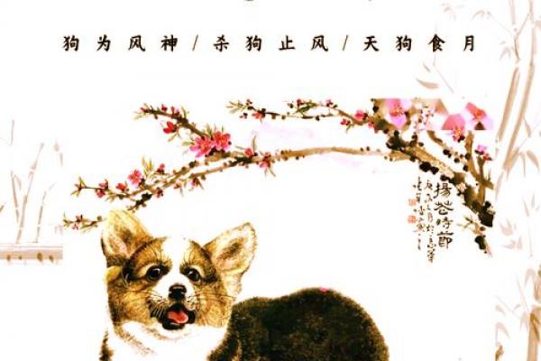 狗的天敌对应哪个生肖