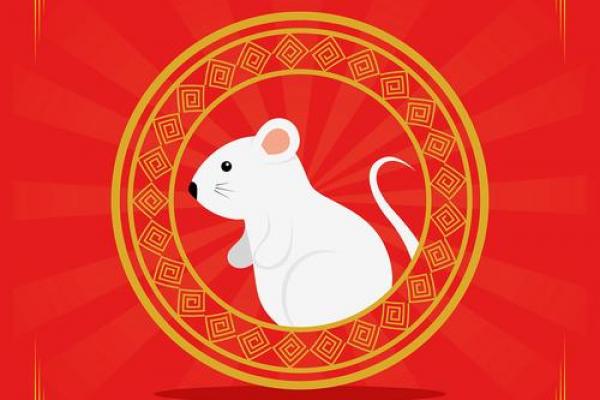 十一月鼠类运势如何