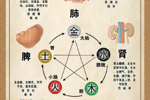 火蛇命的相克关系
