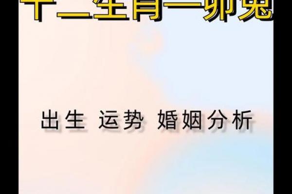 兔一世的贵人是谁