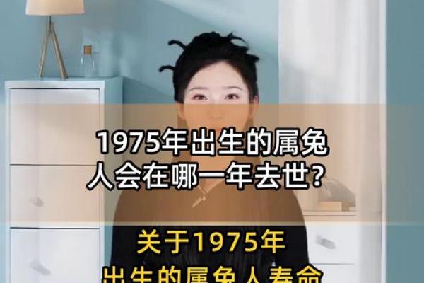兔一世的贵人是谁