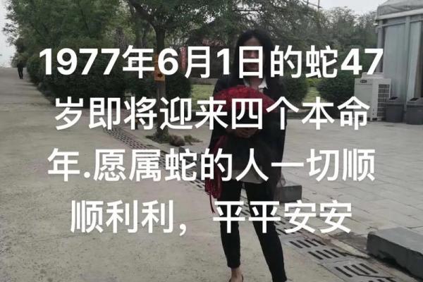 1977年属蛇女性最终婚姻结局