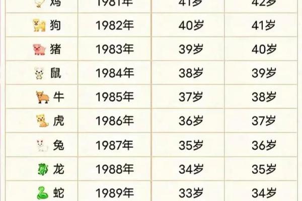 今年属什么生肖年