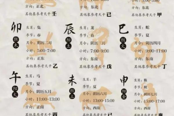十二地支详解
