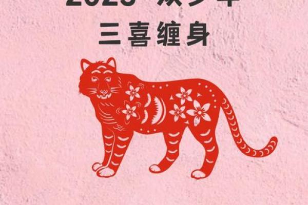 1998年属虎者的事业方向