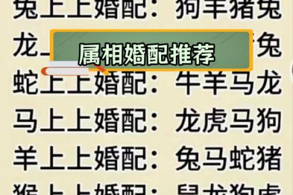2026年属虎女子婚配对象预测